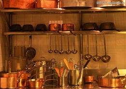 廚房中的好幫手 廚具與衛(wèi)具的選購與保養(yǎng)指南